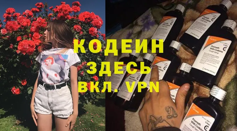 Codein Purple Drank  ссылка на мегу зеркало  Железногорск-Илимский 